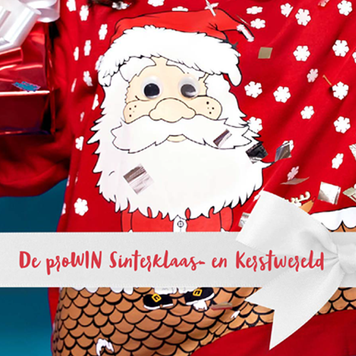 De proWIN Sinterklaas- en Kerstwereld | proWIN Ria